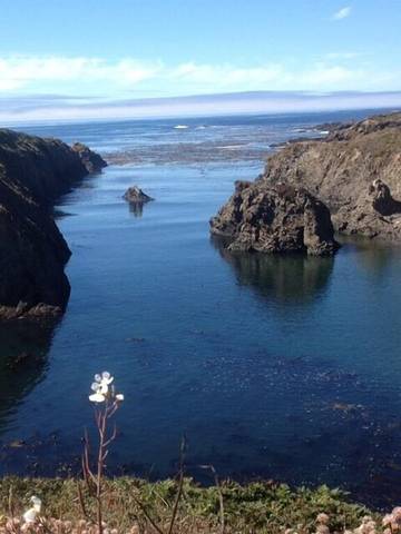 Vacation House for 4 Guests in Mendocino, North Coast, Picture 2