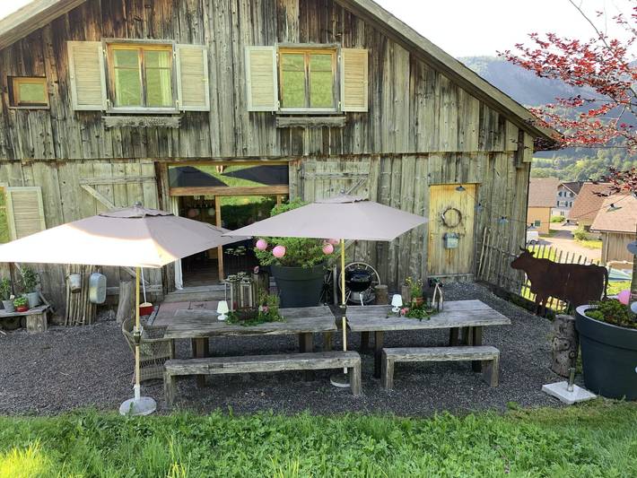 Ferienhaus für 20 Personen, mit Sauna und Garten in Österreich - 3