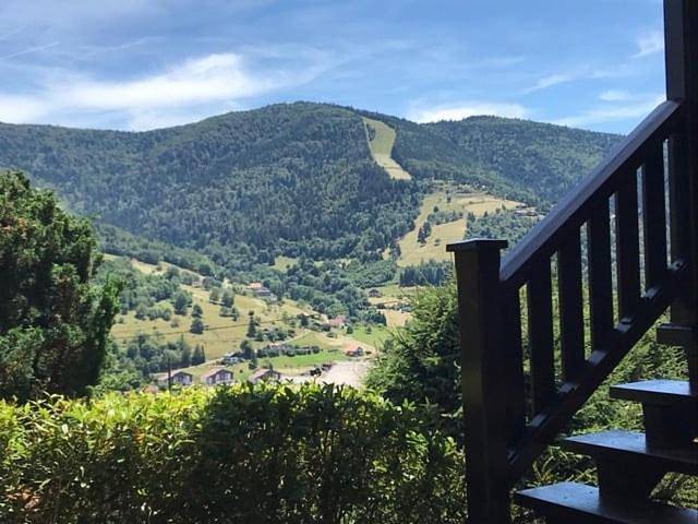 Chalet pour 10 personnes, avec sauna et jardin à Bussang - 2