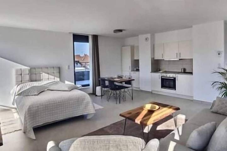 Appartement entier, Attique moderne et lumineux à 3 min de Bâle-Centre in Saint-Louis, Région de Mulhouse