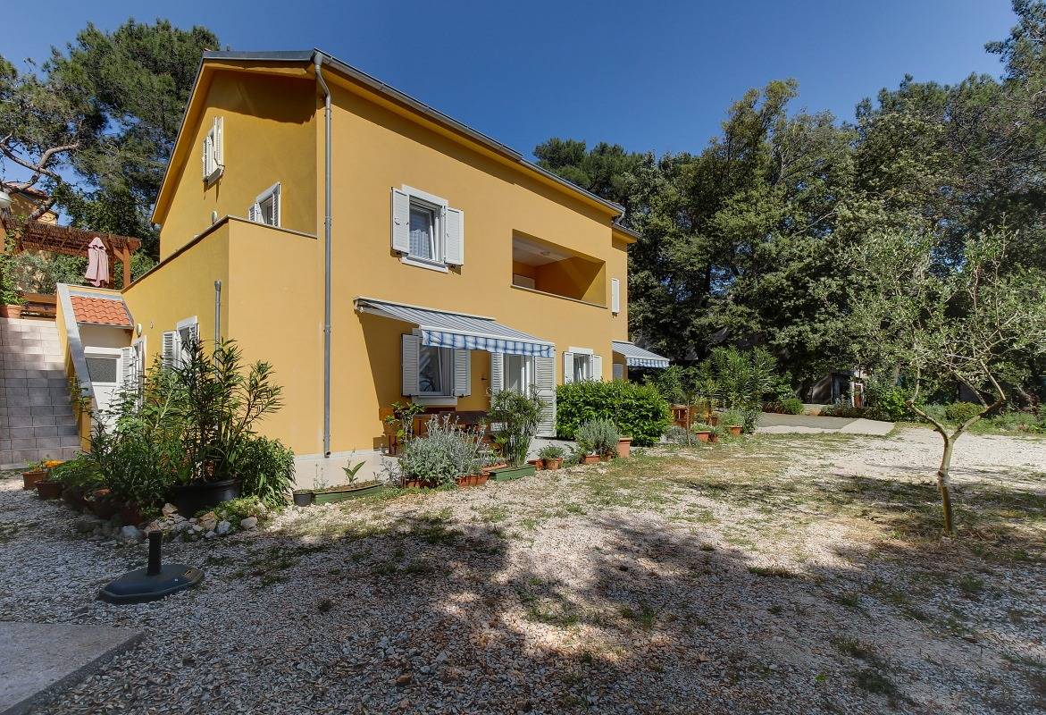 Ganze Wohnung, 1-Zimmer-Ferienwohnung mit Terrasse Artatore, Losinj A-8022-a in Aratore, Kvarner Inseln