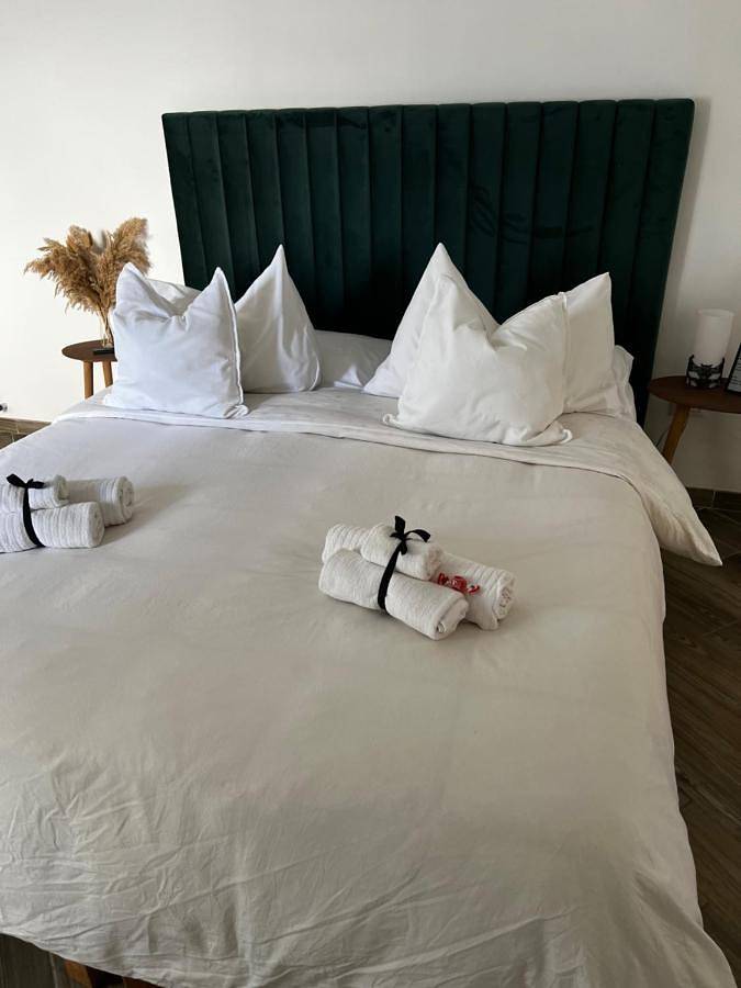 Chambre d’hôte pour 2 personnes, avec jardin et vue à Fiumicino - 3