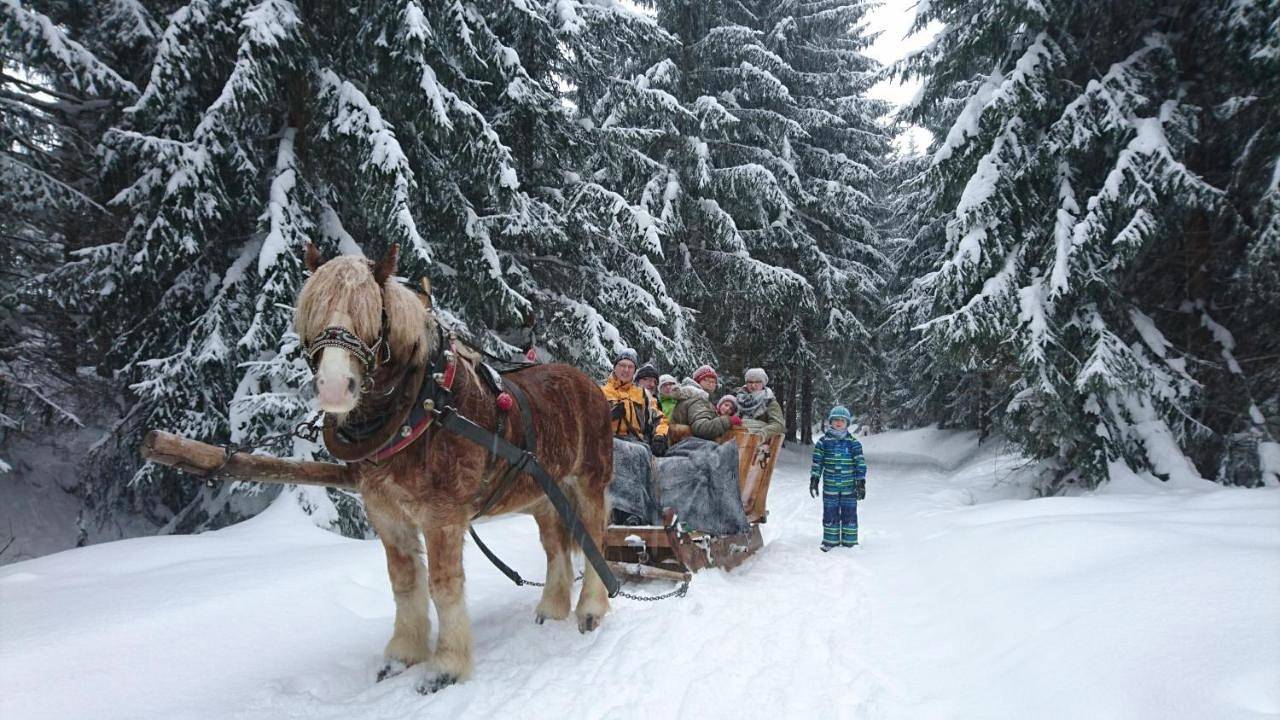Ferienwohnung Meierbaude in Altenberg, Osterzgebirge