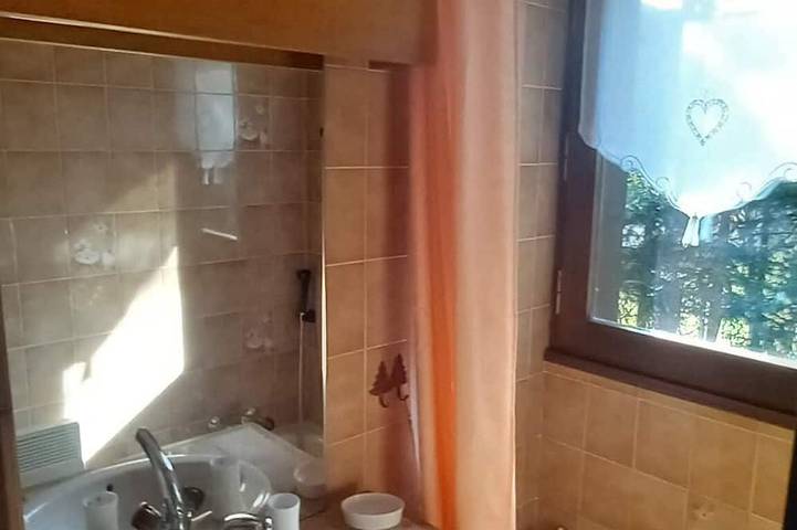 Appartement entier, A Cordon, balcon du Mt-Blanc, loue Studio de 21m2 et les animaux sont acceptés. in Cordon, Pays du Mont-Blanc