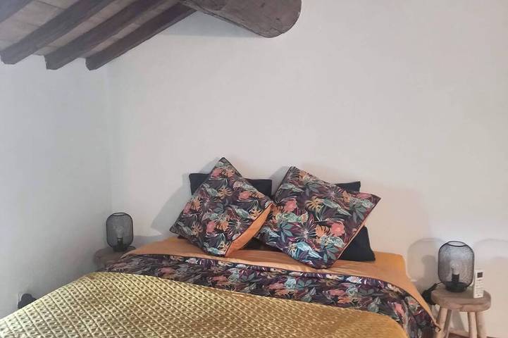 Gîte pour 4 personnes, avec jacuzzi et jardin ainsi que piscine et terrasse à Althen-des-Paluds - 4