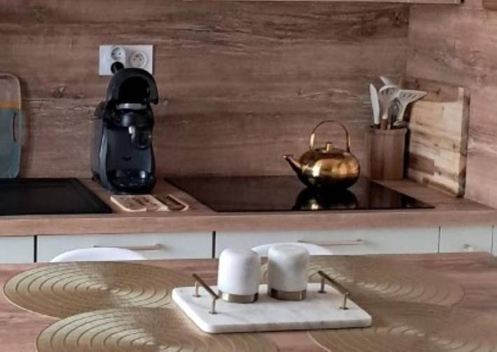 Gîte pour 3 personnes, avec piscine et jardin, animaux acceptés à Soubise - 3