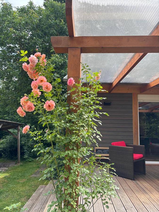 Ferienhaus für 4 Personen, mit Terrasse und Garten in Himmelpfort - 4