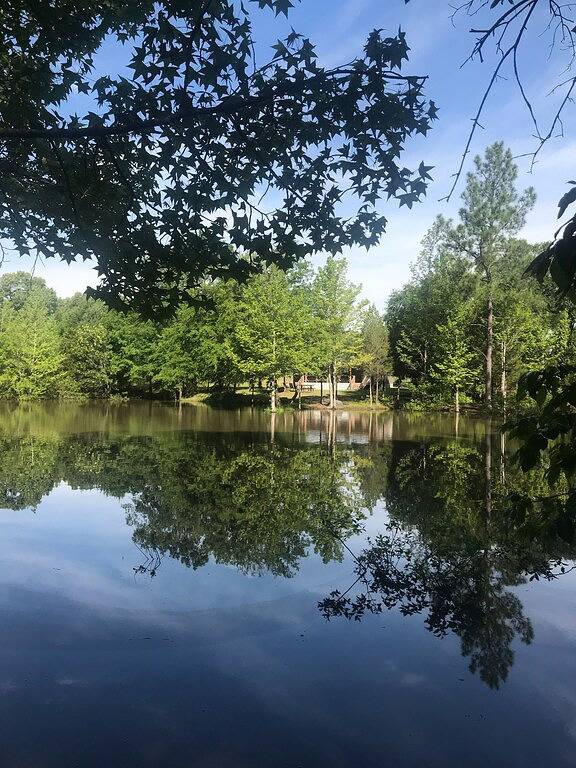 Gemütlicher Waldurlaub mit privatem Fischteich in Van Zandt County