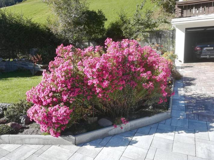 Ferienwohnung für 2 Personen, mit Terrasse und Garten in Sillian - 4