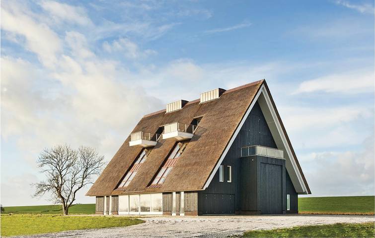 Ferienhaus für 22 Personen, mit Whirlpool und Terrasse in Friesland - 4
