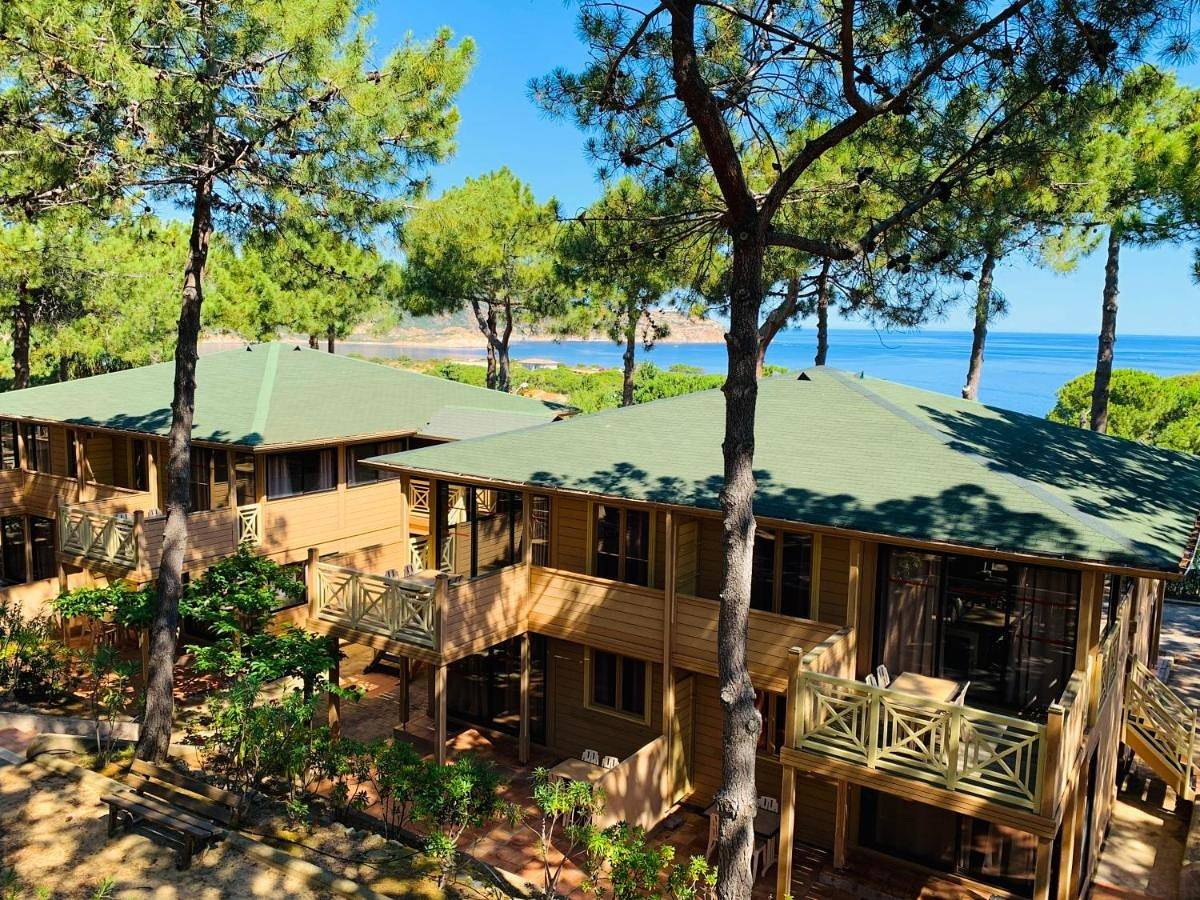 Résidence Les Pins in Calvi, Région de Calvi