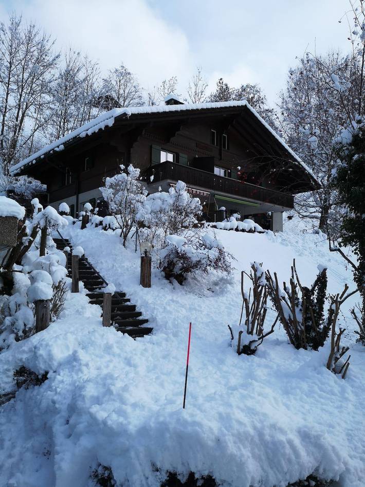 Ganze Ferienwohnung, Ferienwohnung für 8 Personen mit Sauna in Lenk, Frutigen - Lenk - Adelboden