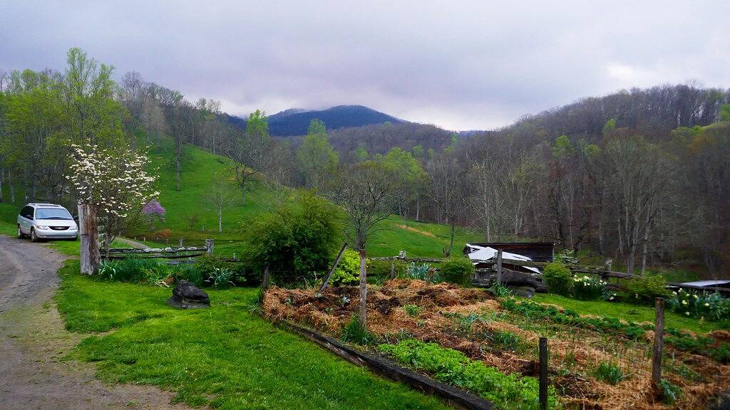 Pocahontas County Arbeitsschäferei in Greenbrier River