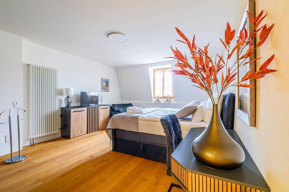 Appartamento intero, Casa Rheinblick - Apartment D - 3Br Penthouse with Rooftop Terrace in Basilea, Aargau-Basel