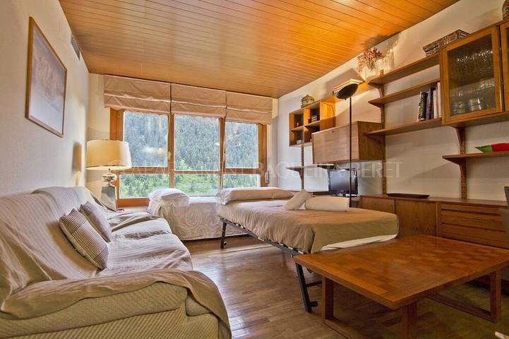 Ganze Wohnung, Nere - Edificio Bonaigua in Baqueira, Naut Aran