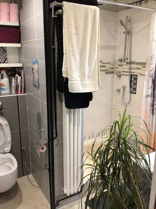 Gîte pour 4 personnes, avec balcon à Conflans-Sainte-Honorine - 3