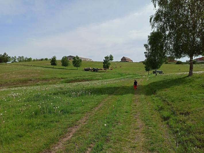 Ferienwohnung für 4 Personen, mit Ausblick - 1