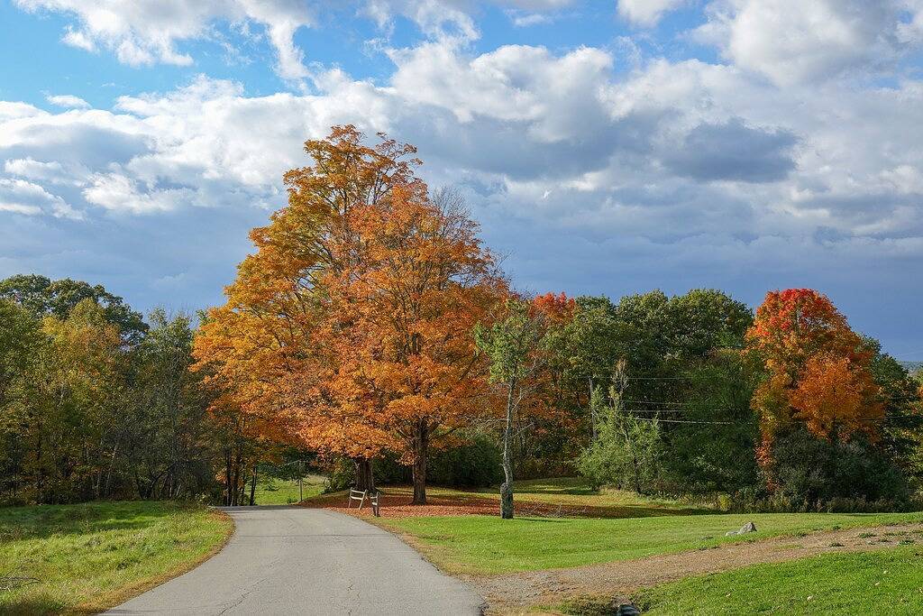 Modernisiertes Cottage am See in einer ruhigen Umgebung - Damariscotta-See in Lincoln County (Maine)
