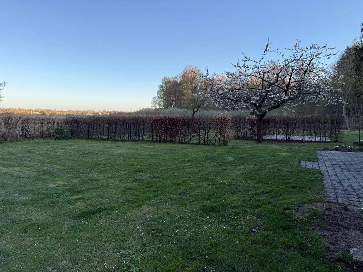 Ganze Wohnung, Forsthaus Boberow in Rheinsberger See, Rheinsberg