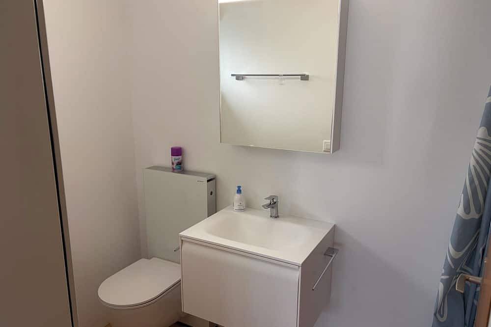 Appartement entier, Holzji 2-Bettwohnung, Dusche, Wc 2-Bettwohnung, Dusche, Wc in Brigue (Wallis), Alpes valaisannes