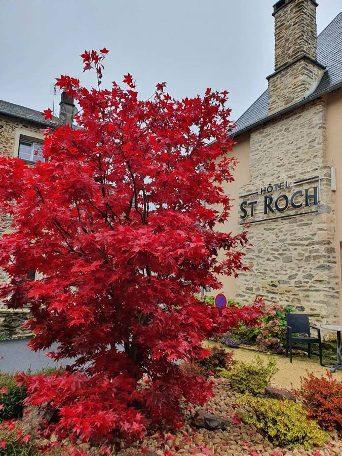 Hôtel pour 4 personnes, avec terrasse, animaux acceptés