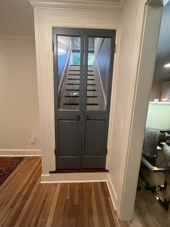 Luxury Home - Walk to Grove and Square - Outdoor Patio Seating in Oxford (MS), Lafayette County