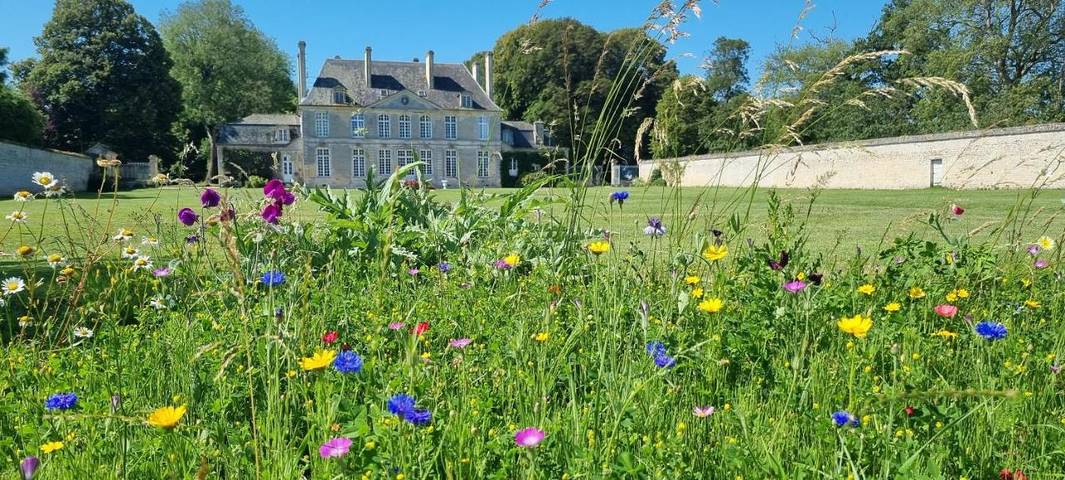 Gîte pour 3 personnes, avec Terrasse et Jardin ainsi que Piscine et Vue à Martragny