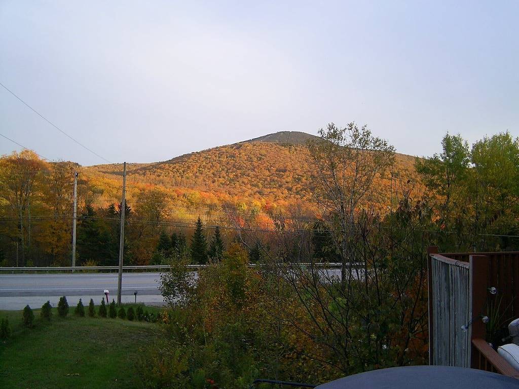 Killington / Mendon Clean, 2 bedroom cabin in Green Mountain National Forest