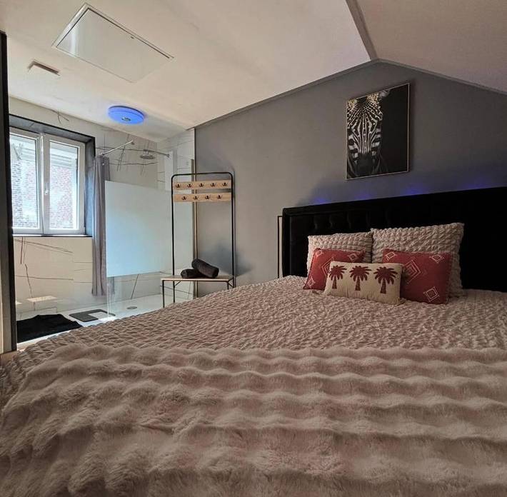 Gîte pour 2 personnes, avec jardin et terrasse ainsi que sauna et jacuzzi à Denain - 3