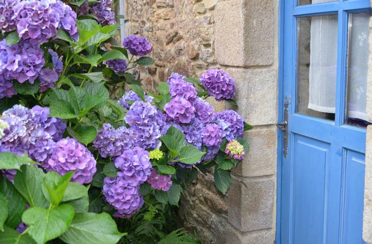 Ferienhaus für 2 Personen, mit Garten, mit Haustier in Frankreich - 2