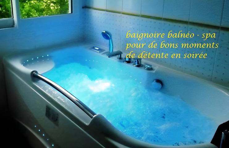 Gîte pour 2 personnes, avec terrasse ainsi que jardin et jacuzzi à Quéménéven - 4