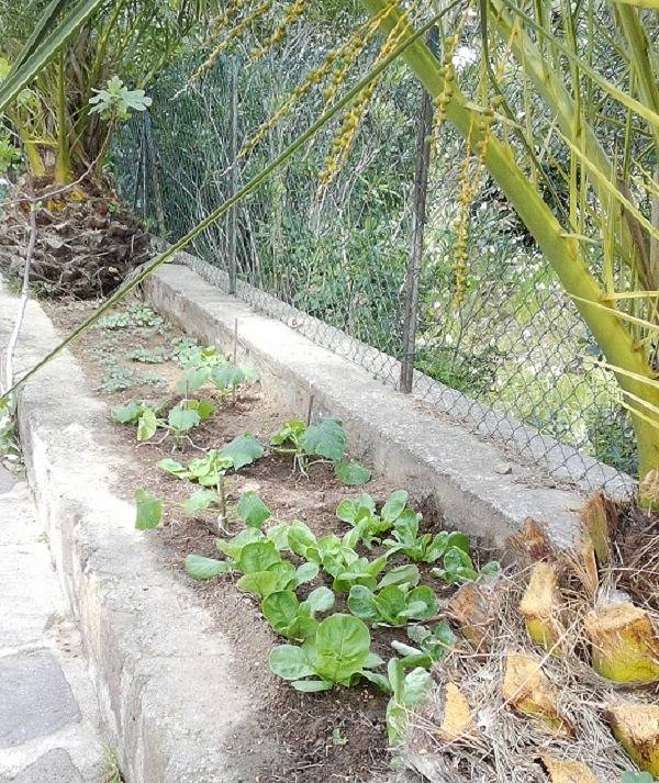 Gîte pour 3 personnes, avec vue ainsi que terrasse et jardin dans le Var - 4