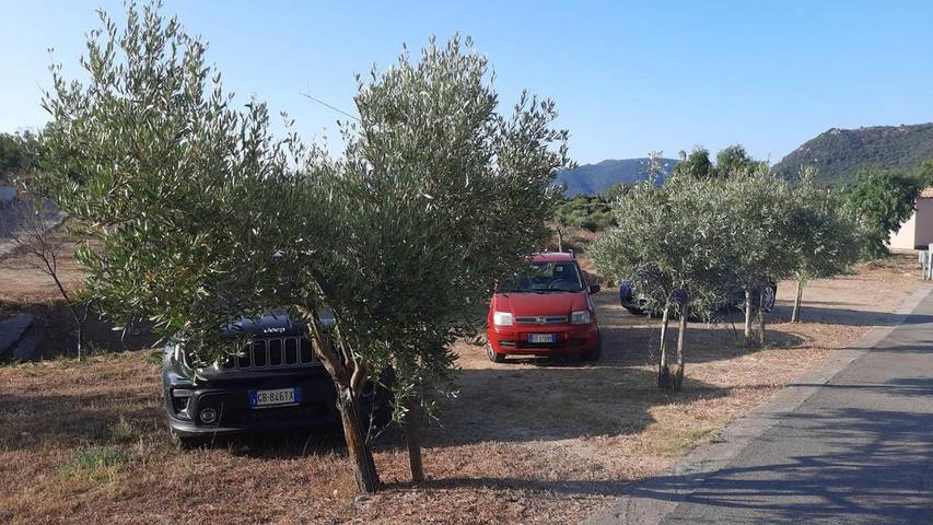 Gîte pour 4 personnes, avec jardin et jacuzzi à Castiadas - 4