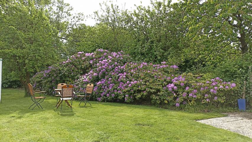 Ferienhaus für 2 Personen, mit Garten in Niedersachsen - 2