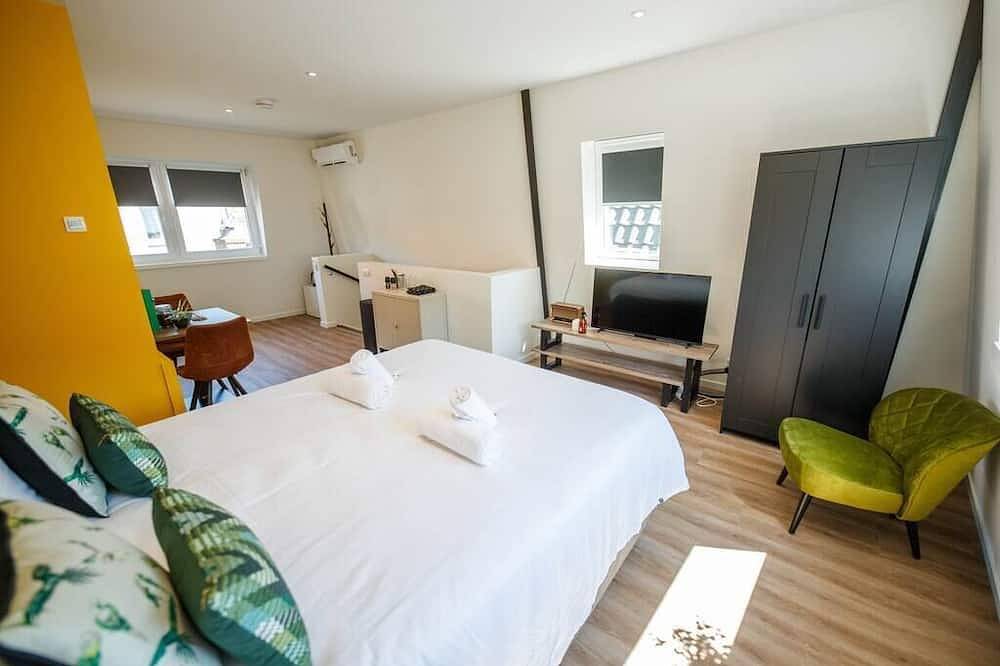 Geheel appartement, Deluxe 35m2 City Center Studio with Views (Db-6-C) in 's-Hertogenbosch, Noord-Brabant