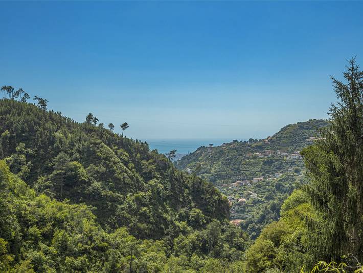 La Sperduta in Montignoso, Riviera Toscana