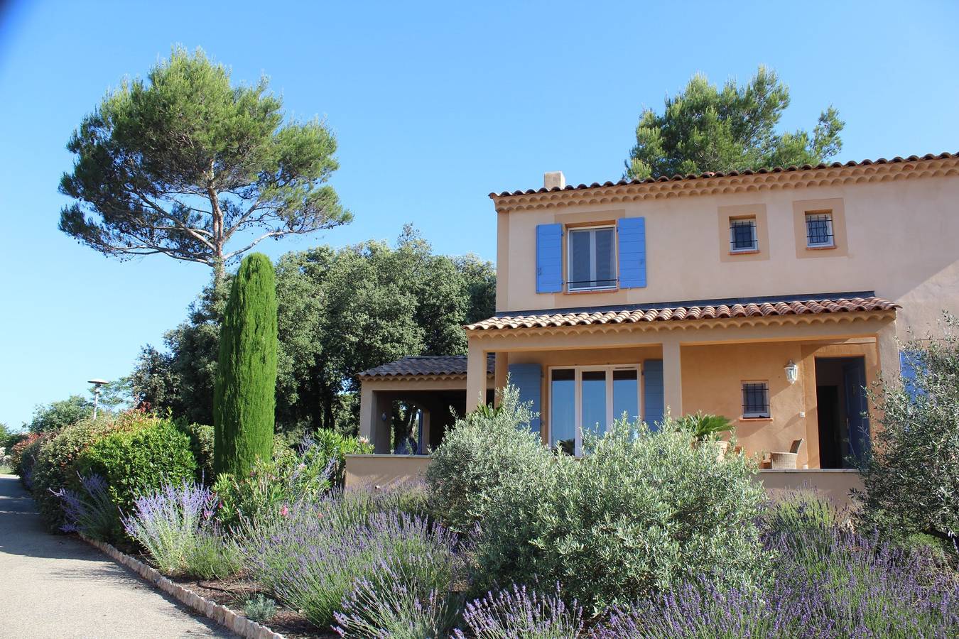 Lis des Vallée du Luc in Saumane-de-Vaucluse, Vaucluse