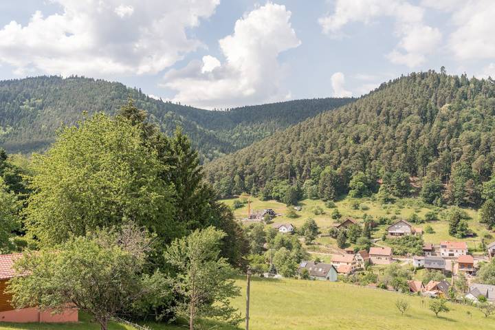 Ferienwohnung für 4 Personen, mit Balkon im Elsass - 3