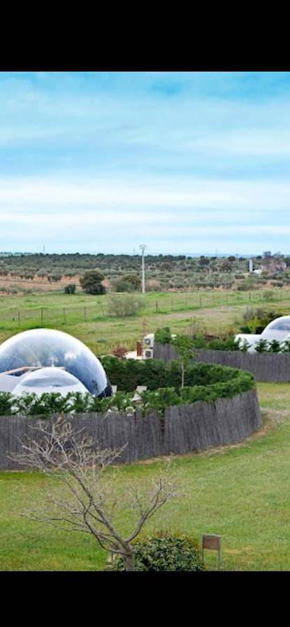 Gîte pour 4 personnes, avec jardin et vue, animaux acceptés à Barro - 3