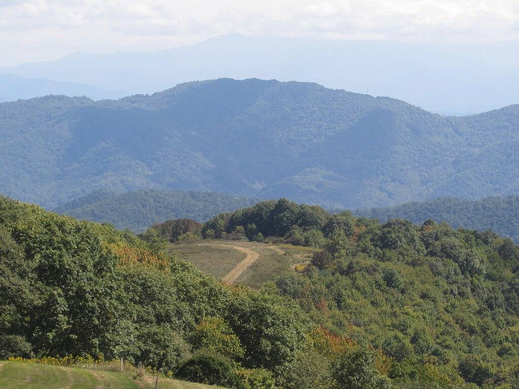 Sundance Pet freundliches Blockhaus mit Whirlpool Wifi Gasgrill Wasserfall Wandern in Madison County (NC)