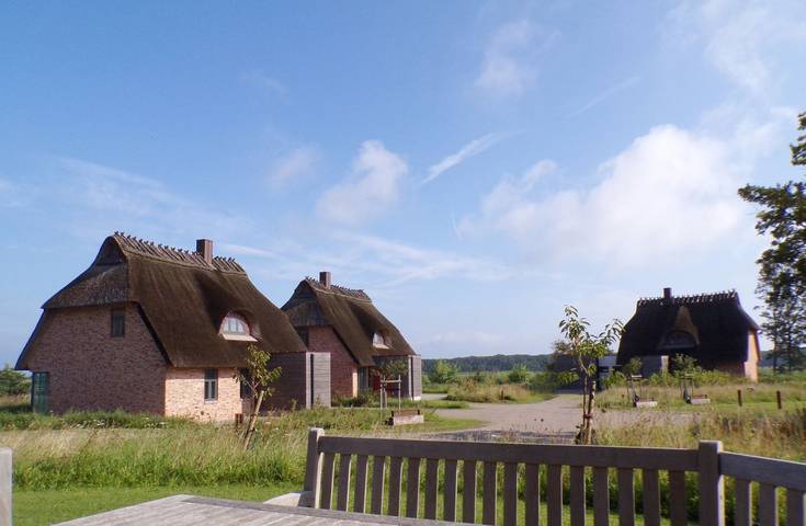 Ferienhaus für 5 Personen, mit Ausblick und Sauna sowie Garten und Seeblick in der Geltinger Birk - 2
