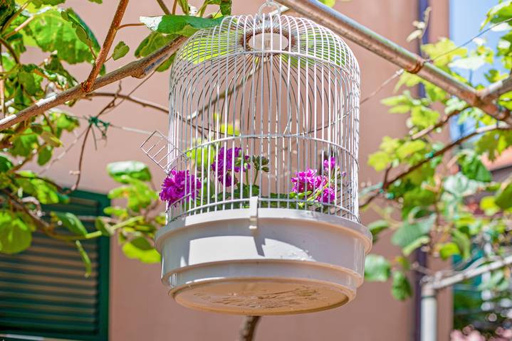 Ferienwohnung für 4 Personen, mit Garten, mit Haustier in Moneglia - 4
