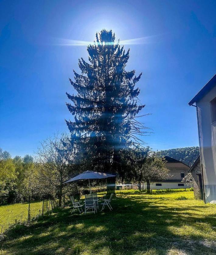 Gîte pour 4 personnes, avec vue et jardin à Celles-sur-Plaine