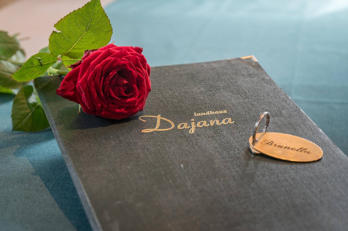 Ganze Ferienwohnung, Apartment Brunella in Gaschurn, Gaschurn und Umgebung