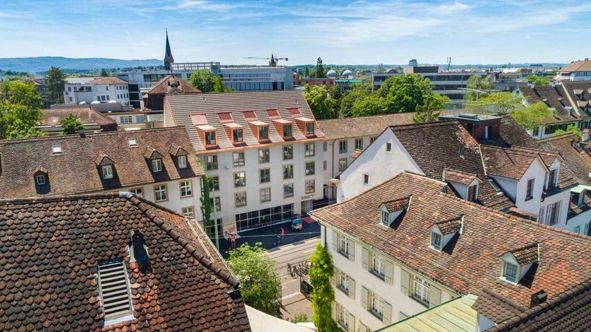 Hotel dla 2 osób, z Ogród i Widok w Bazylea