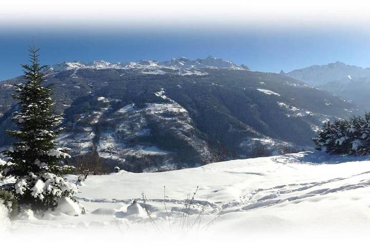 Gîte pour 12 personnes, avec vue et jardin à Les Chapelles - 2