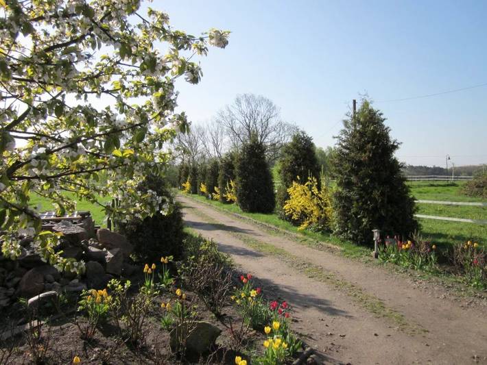 Ferienwohnung für 2 Personen, mit Garten und Ausblick in Alt Bukow - 4