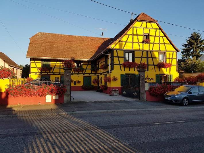Gîte pour 6 personnes, avec Vue à Andolsheim