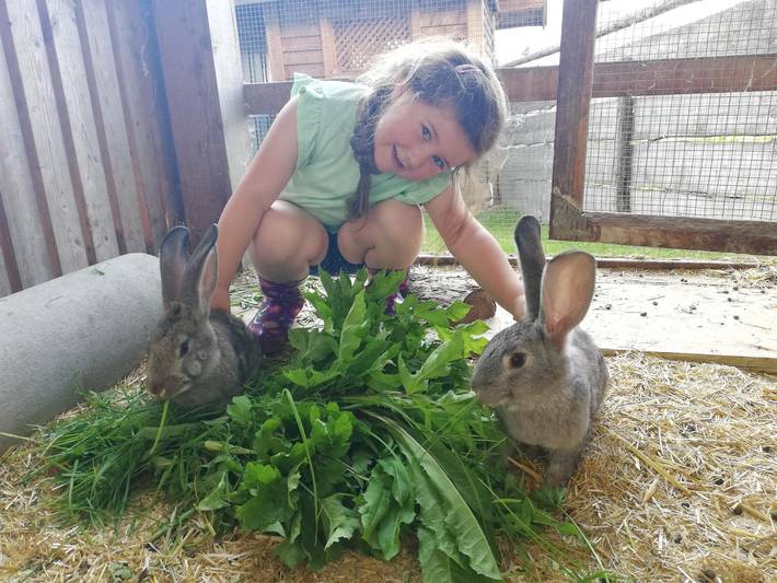 Bauernhof für 2 Personen, mit Sauna und Terrasse sowie Garten, kinderfreundlich in Flachau - 3