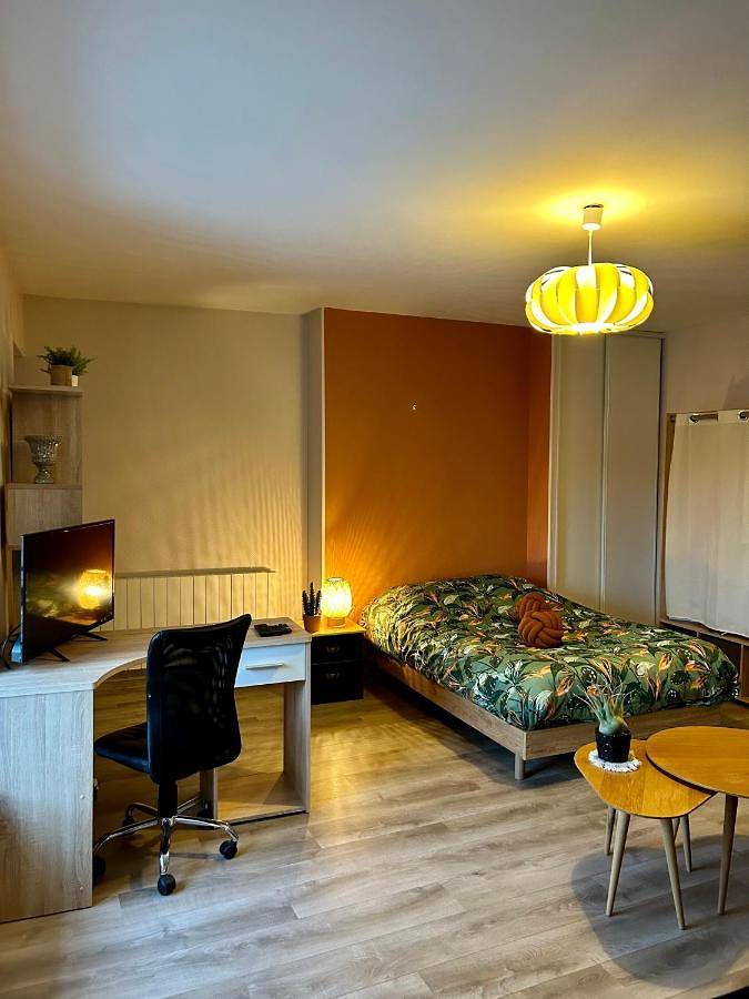 Appartement entier, One-Bedroom Apartment in Chaumont, Haute-Marne